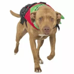 NRS CFD Dog Life Jacket