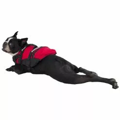 NRS CFD Dog Life Jacket