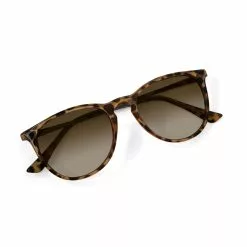 Nectar Shockoe Polarized Sunglasses